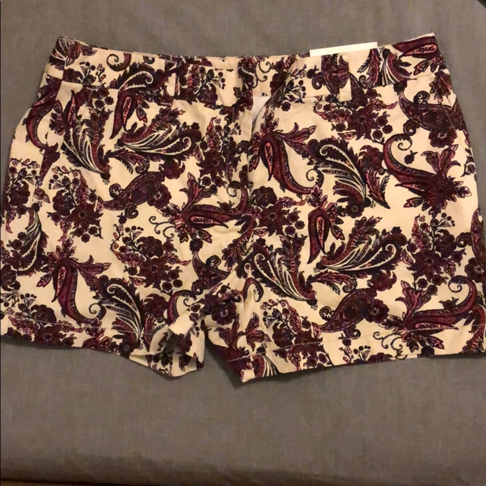 Ann Taylor Loft Shorts
